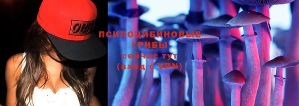 2c-b Зеленокумск