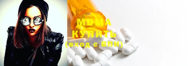индика Заволжье