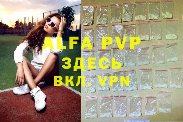 индика Заволжье