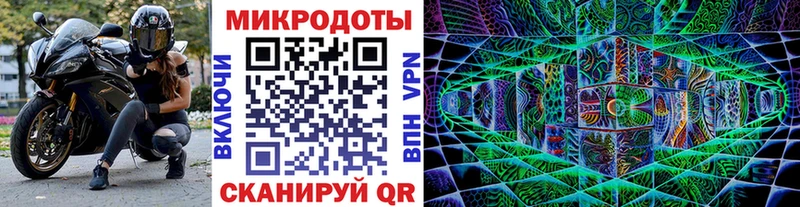 Псилоцибиновые грибы Cubensis  Купить где  Аргун 